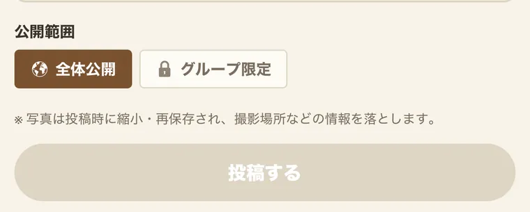 投稿画面の下部。公開範囲（全体公開／グループ限定）の選択と、「写真は投稿時に縮小・再保存され、撮影場所などの情報を落とします」の注記